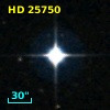 HD  25750