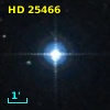 HD  25466