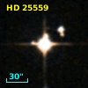 HD  25559