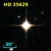 HD  25629
