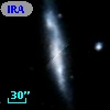 IRAS 04019-0219