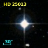 HD  25013