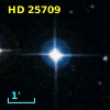 HD  25709