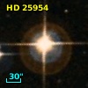 HD  25954