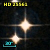 HD  25561