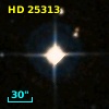 HD  25313