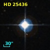 HD  25436