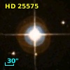 HD  25575