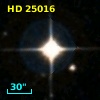 HD  25016