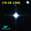 CD-28  1360