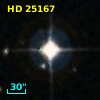 HD  25167