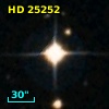 HD  25252