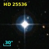 HD  25536