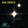 HD  25071