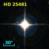 HD  25481