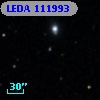 LEDA  111993