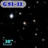 G  81-11