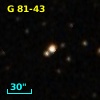 G  81-43