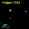 Trigger  7323