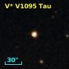 V* V1095 Tau