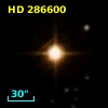 HD 286600