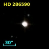 HD 286590