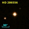 HD 286556