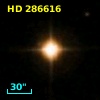 HD 286616