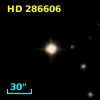 HD 286606