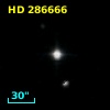 HD 286666