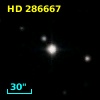 HD 286667