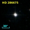 HD 286675