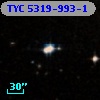 TYC 5319-993-1