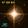 V* GV Eri