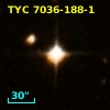 TYC 7036-188-1