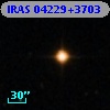 IRAS 04229+3703