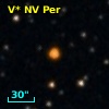 V* NV Per
