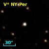 V* NY Per