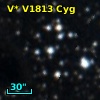 V* V1813 Cyg