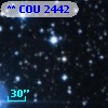** COU  2442