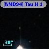 [WMD94] Tau H  1