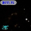 [B77]  75
