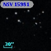 NSV 15981