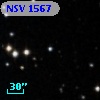 NSV  1567