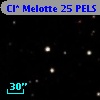 Cl* Melotte   25   PELS      46