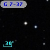 G   7-37