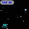 TAP 36