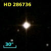 HD 286736