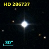 HD 286737