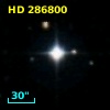 HD 286800
